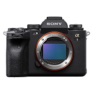 Sony α1 相機體驗